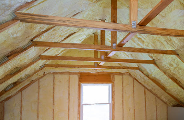 Best Specialized Insulation Services in Hanley Hills, MO