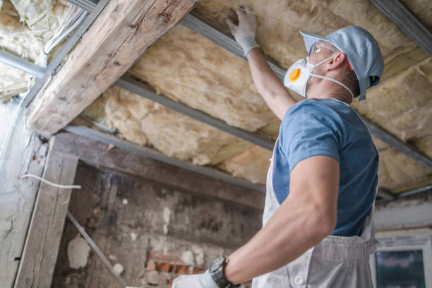 Best Fiberglass Insulation in Hanley Hills, MO