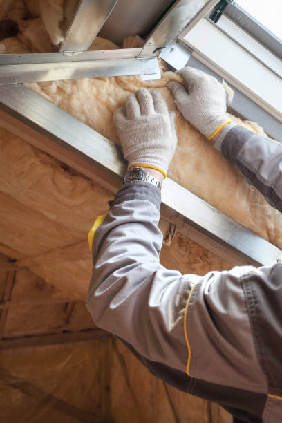Best Eco-Friendly Insulation in Hanley Hills, MO