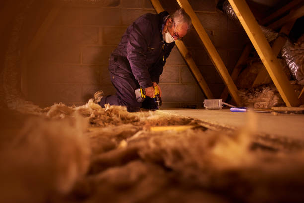 Best Commercial Insulation in Hanley Hills, MO